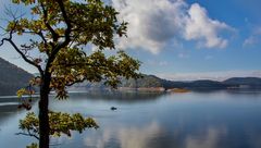 Herbst am Edersee