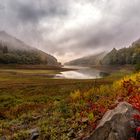 Herbst am Edersee