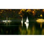 Herbst am Edersee