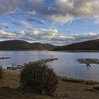 Herbst am Edersee III