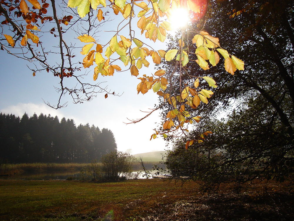 Herbst am Egelsee..