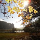 Herbst am Egelsee..