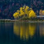 Herbst am Eibsee