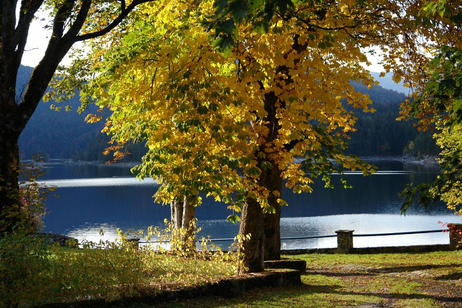 Herbst am Eibsee