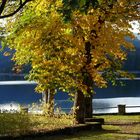 Herbst am Eibsee