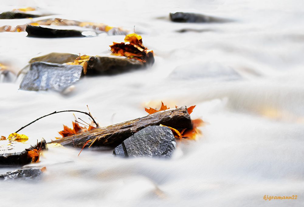 herbst am eifgenbach....