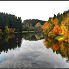 Herbst am Eisenbachsee