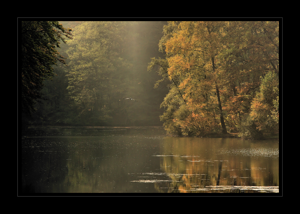 Herbst am Eiswoog