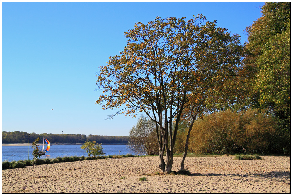 Herbst am Elbufer