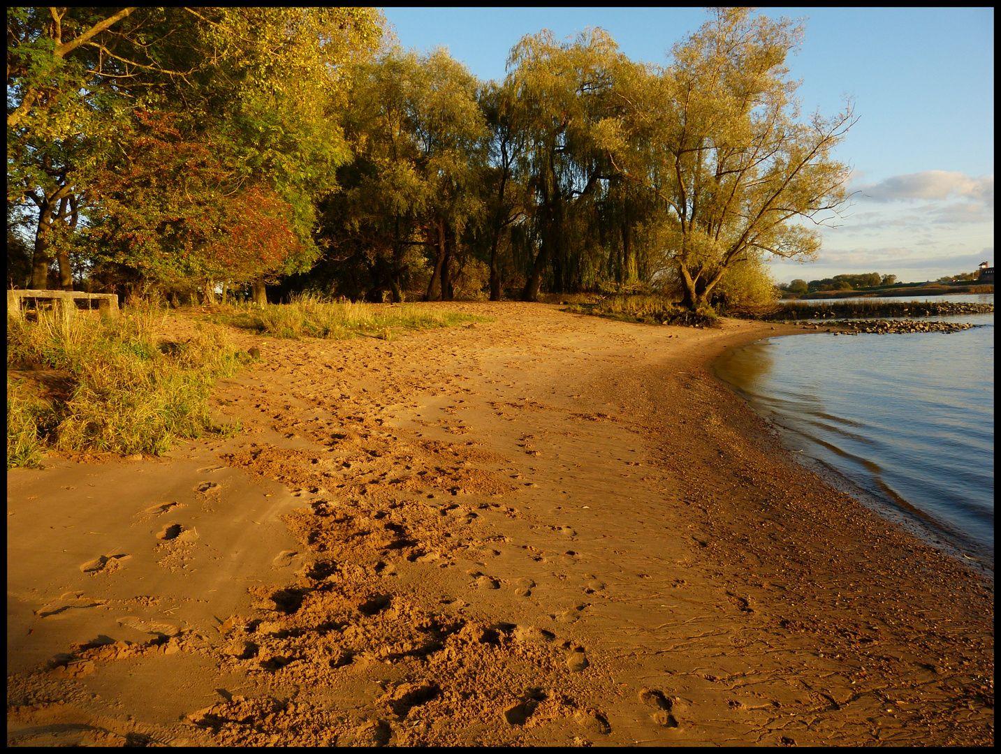 Herbst am Elbufer ...