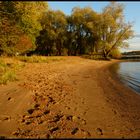 Herbst am Elbufer ...