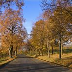 Herbst am Elisenweg (2)