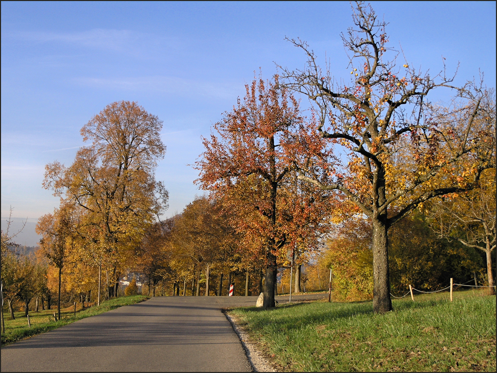 Herbst am Elisenweg (3)