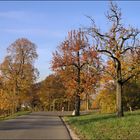 Herbst am Elisenweg (3)