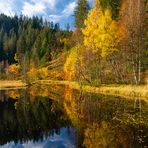 Herbst am Ellbachsee