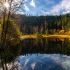 Herbst am Ellbachsee