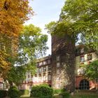 Herbst am Erbacher Schloss