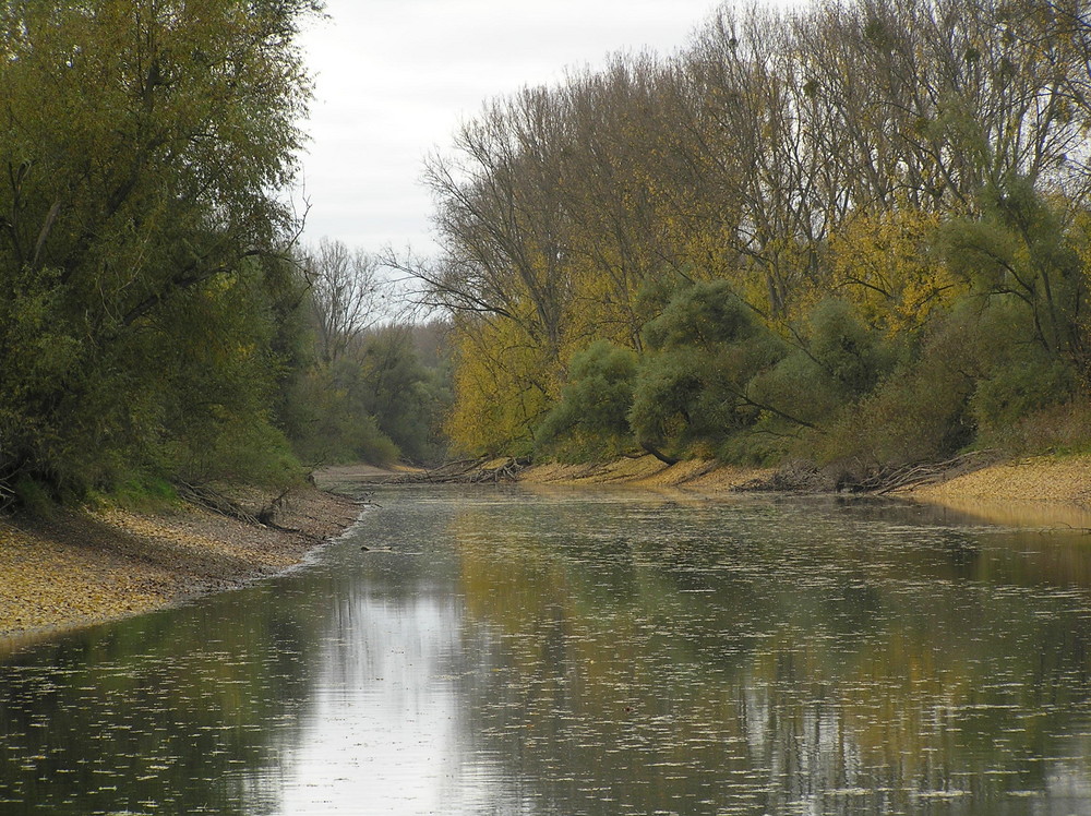 Herbst am Erfelder Altrhein