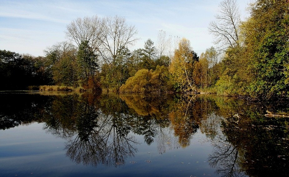 Herbst am Erlachsee (zwischen Neuhausen und Denkendorf)