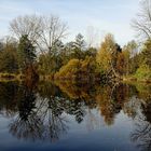 Herbst am Erlachsee (zwischen Neuhausen und Denkendorf)