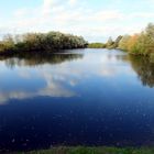 Herbst am Erlensee