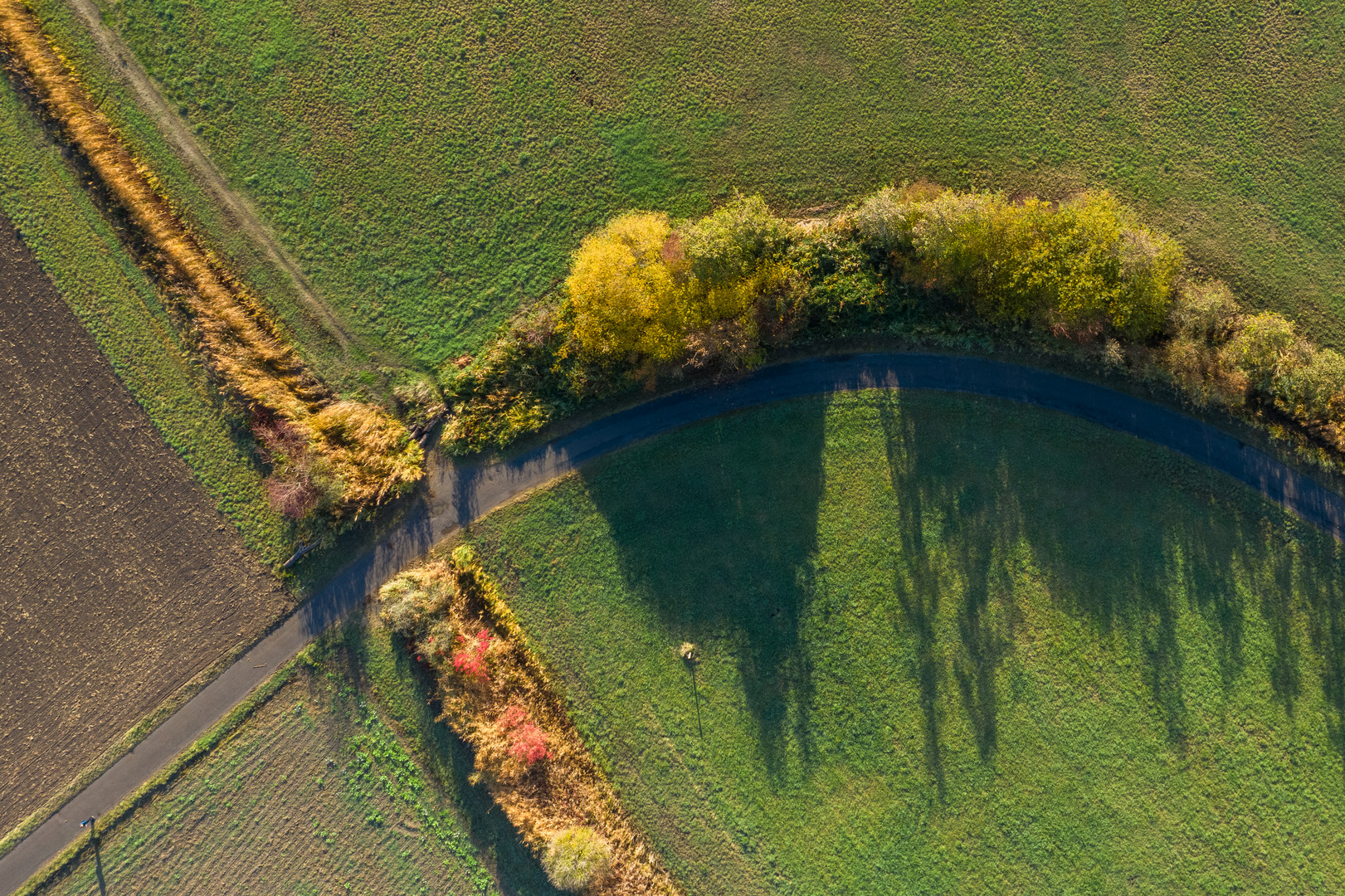 Herbst am Erlichsee 1