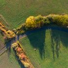 Herbst am Erlichsee 1