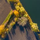 Herbst am Erlichsee 2