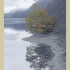 Herbst am Faistenauer Hintersee