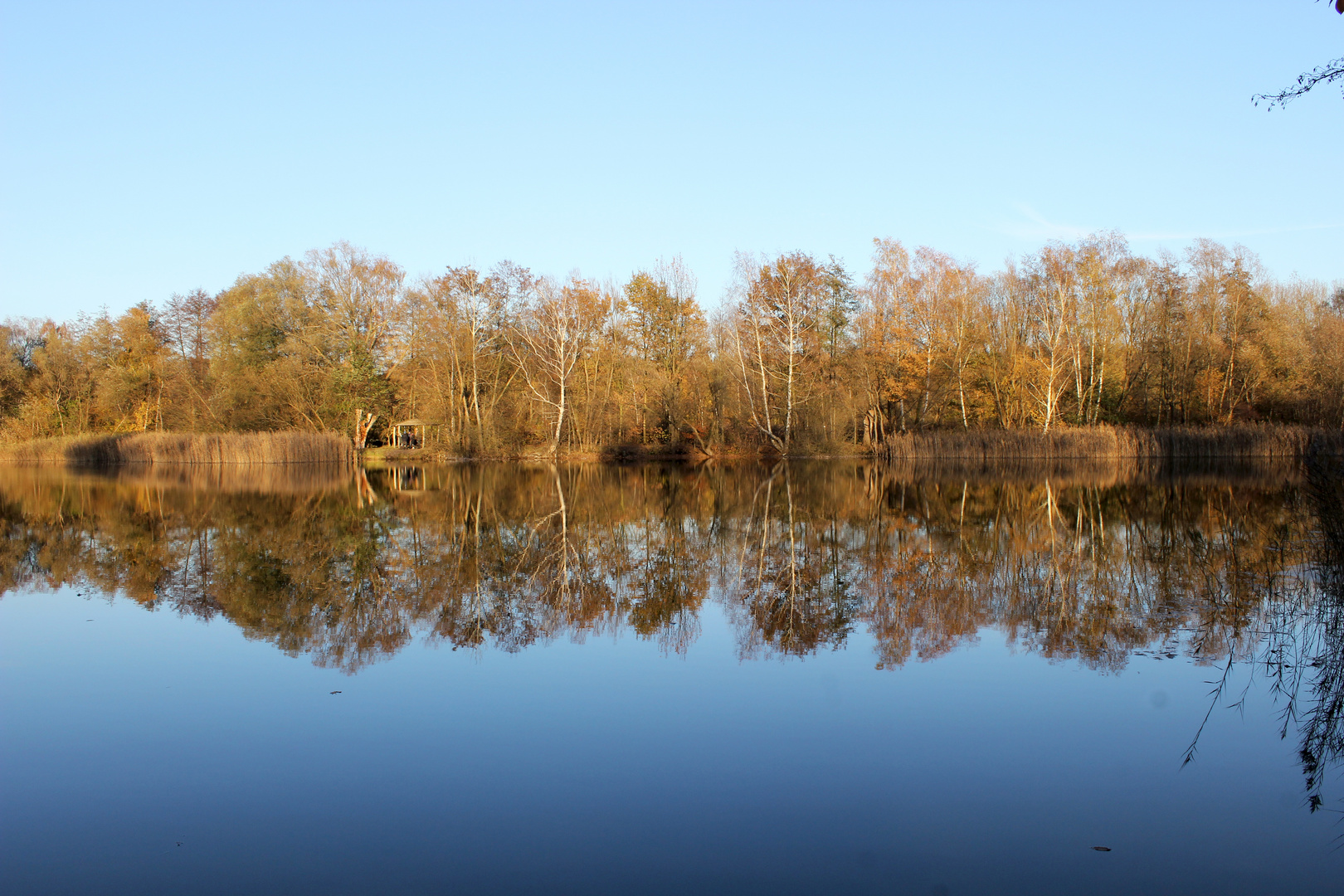 Herbst am Falkenhagener See