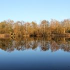 Herbst am Falkenhagener See