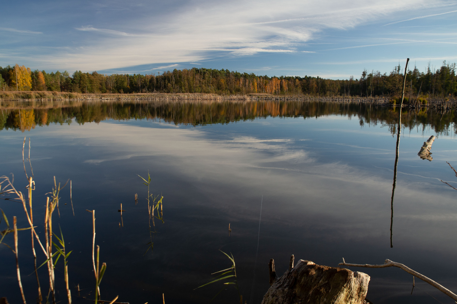 Herbst am Faulen See