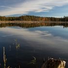 Herbst am Faulen See