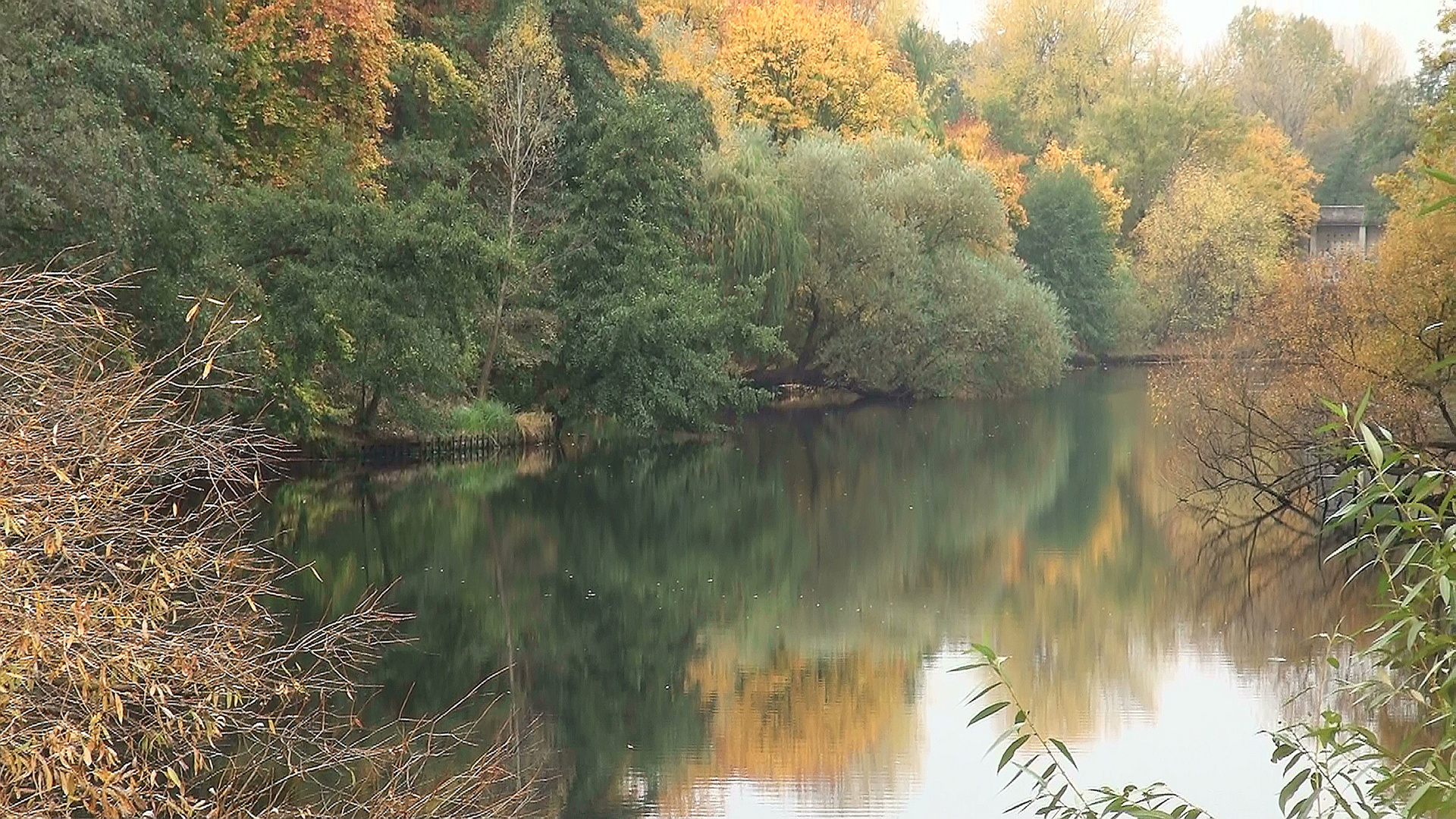 Herbst am Feensee