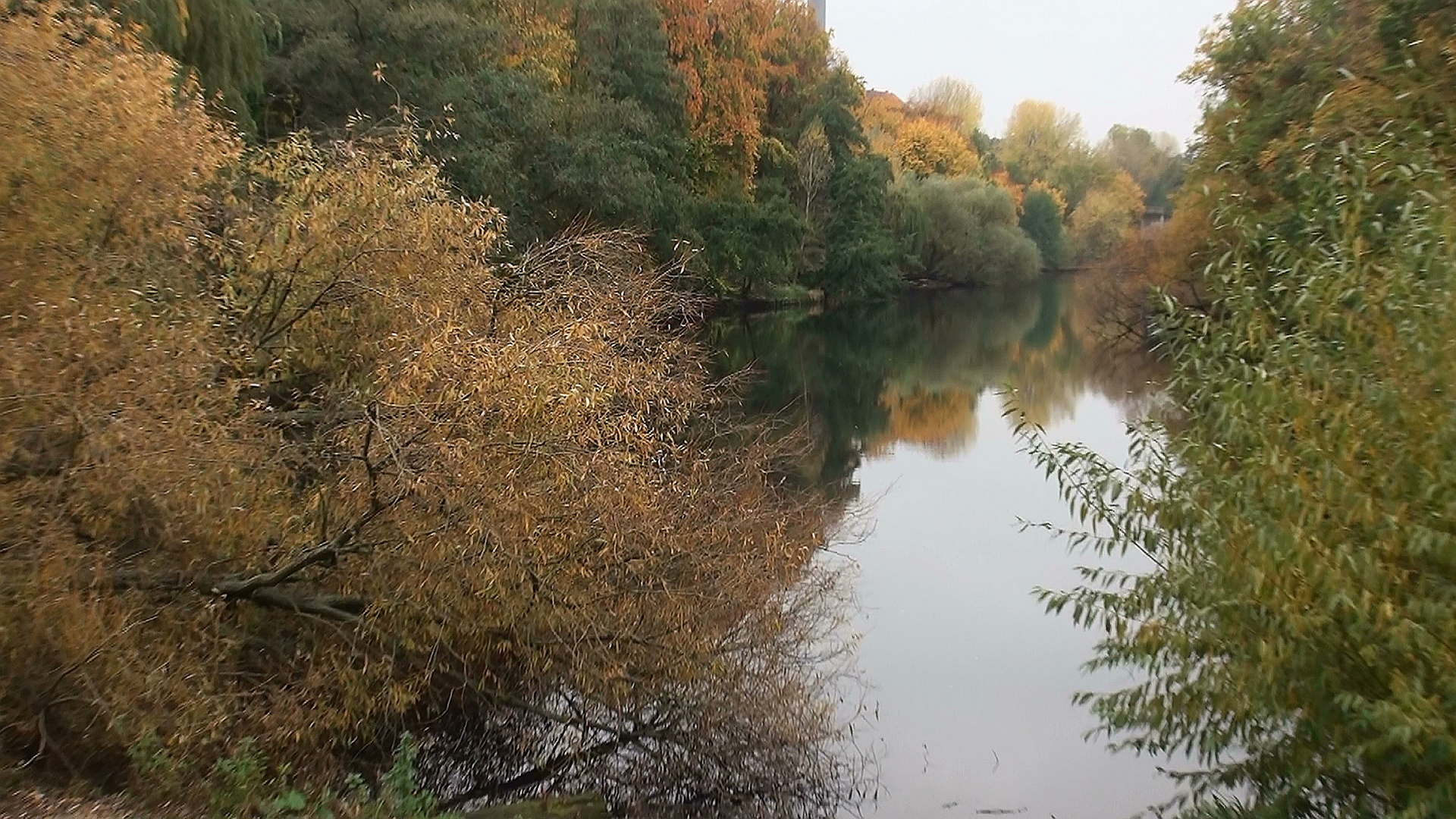 Herbst am Feensee