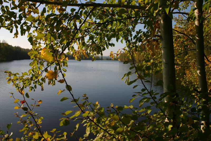 Herbst am Feisnitzstausee