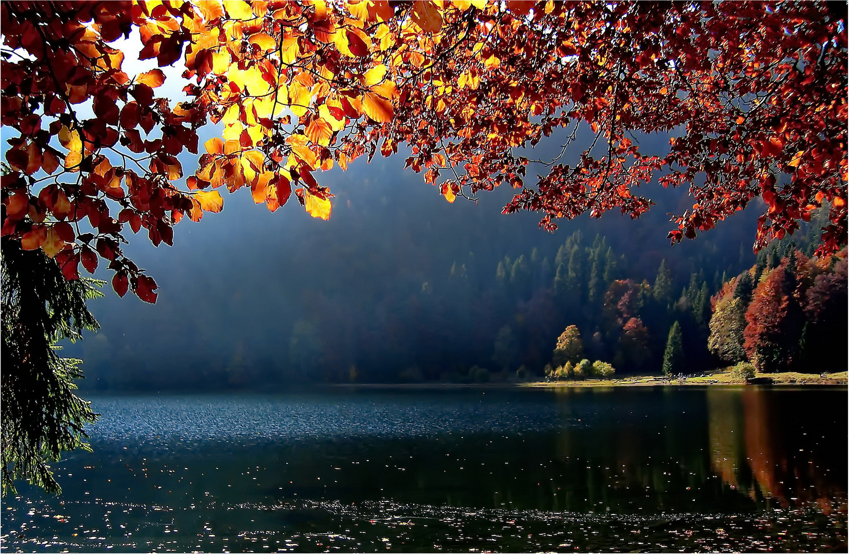 Herbst am Feldsee