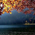 Herbst am Feldsee