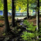 herbst am feldsee 3