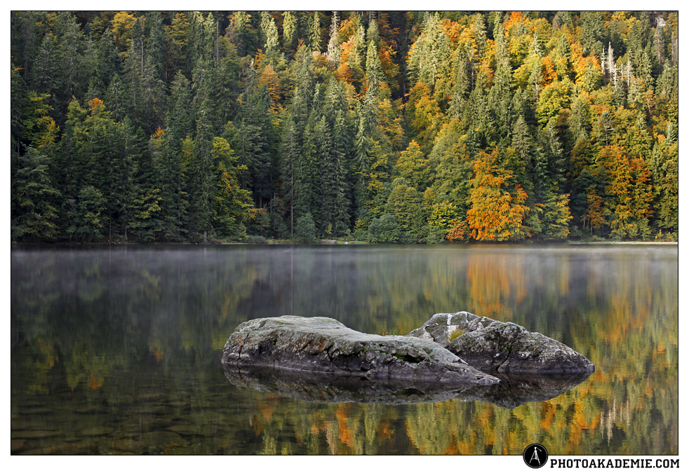 Herbst am Feldsee