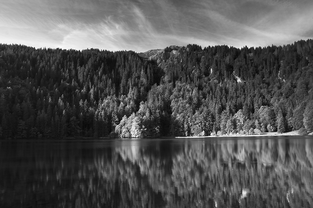 Herbst am Feldsee