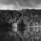 Herbst am Feldsee