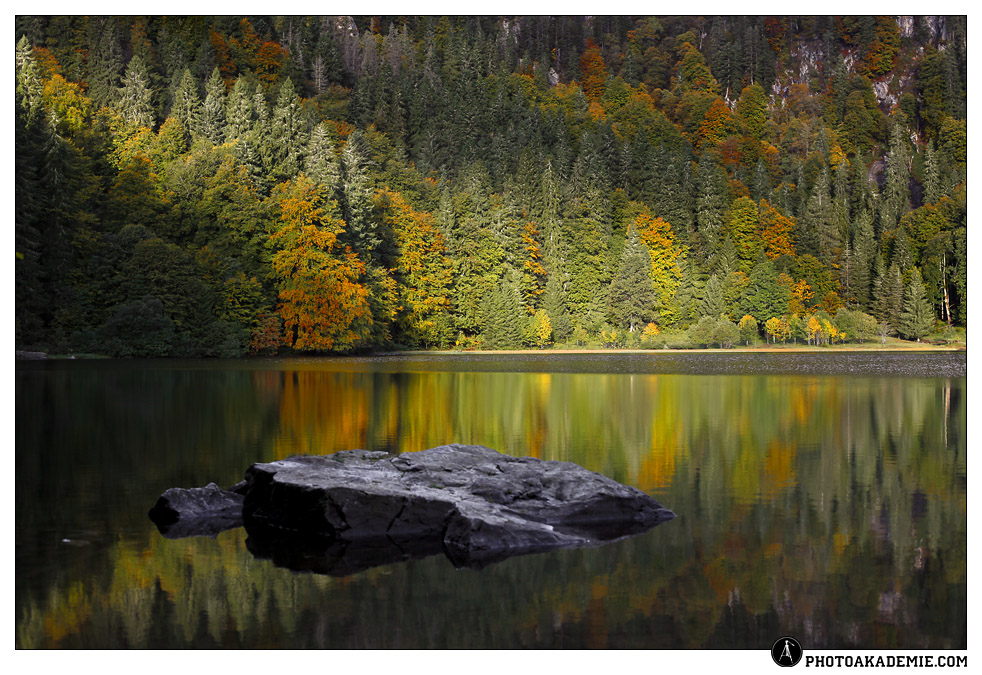 Herbst am Feldsee II