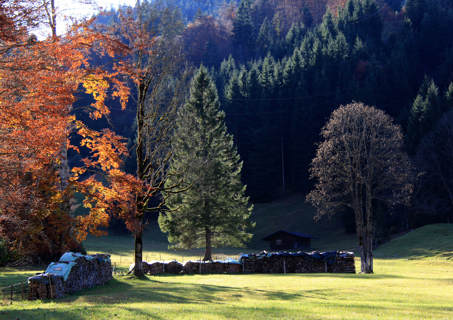 Herbst am Fellhorn