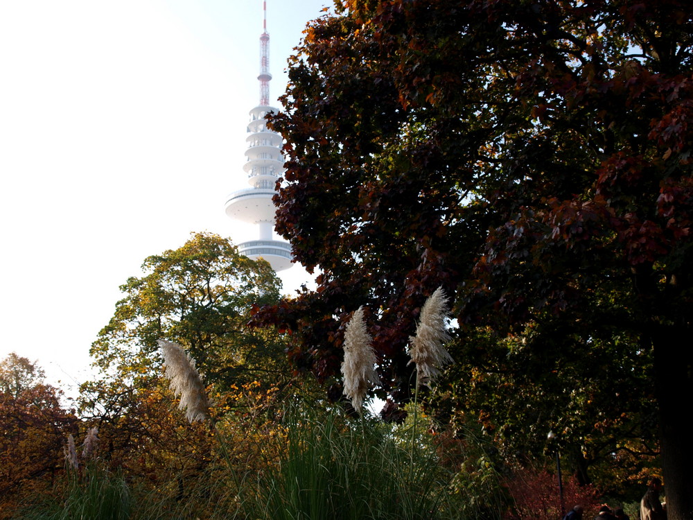 Herbst am Fernsehturm