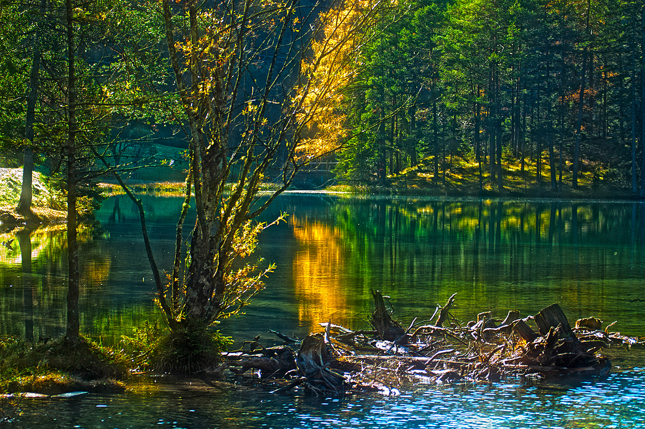 Herbst am Fernsteinsee