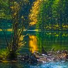 Herbst am Fernsteinsee