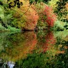 Herbst am Finowkanal !