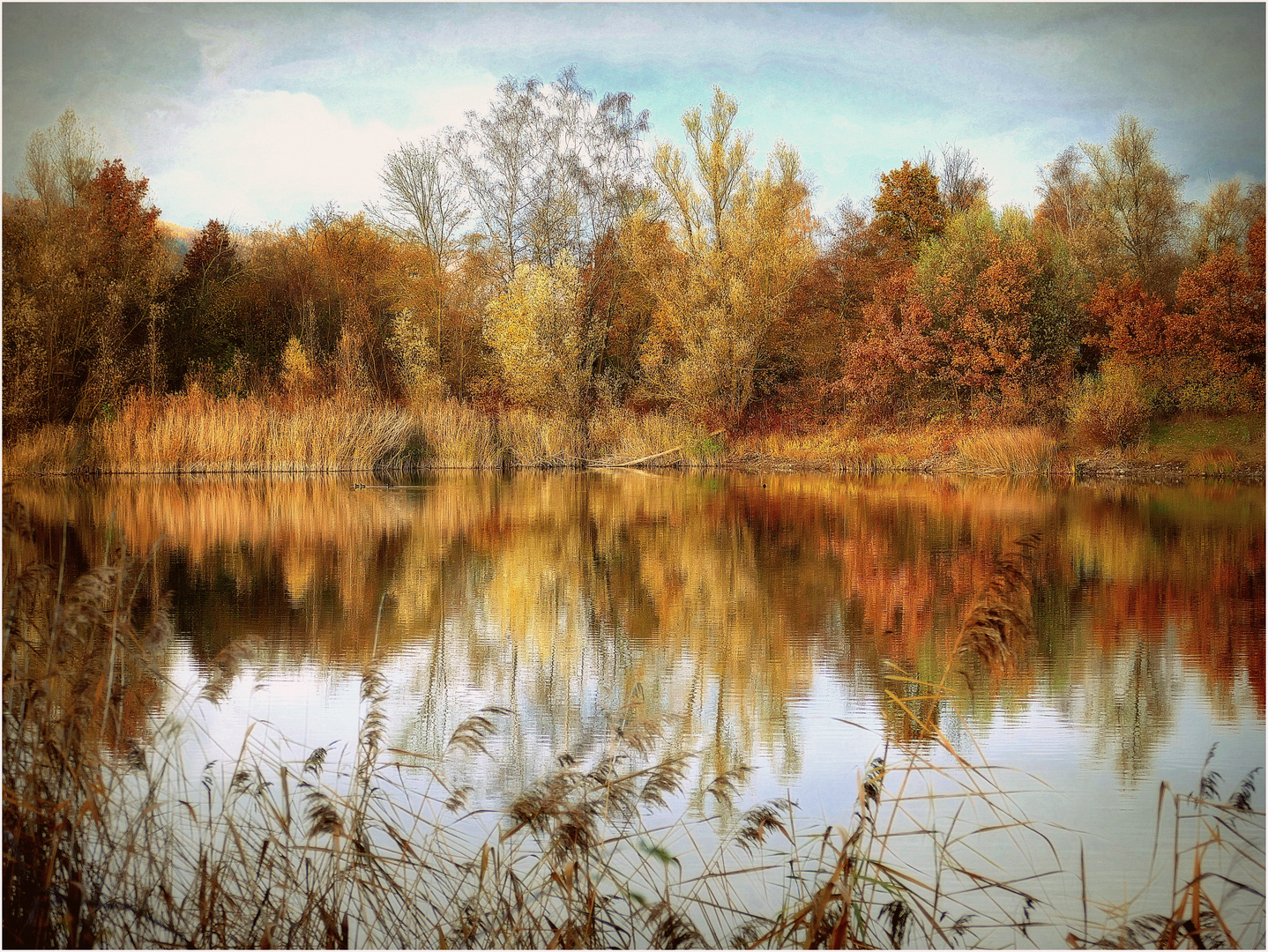 Herbst am Fischteich