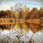 Herbst am Fischteich